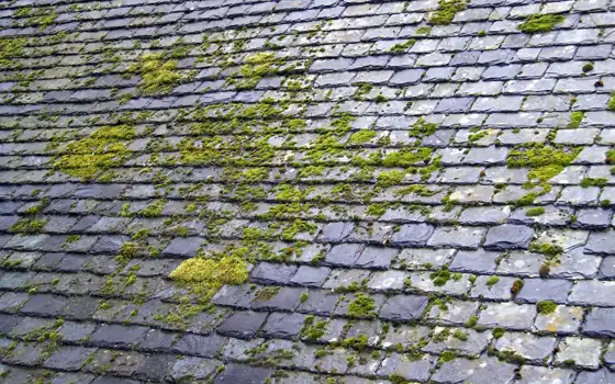 Example photo: Slate shingles on an aged roof, with moss